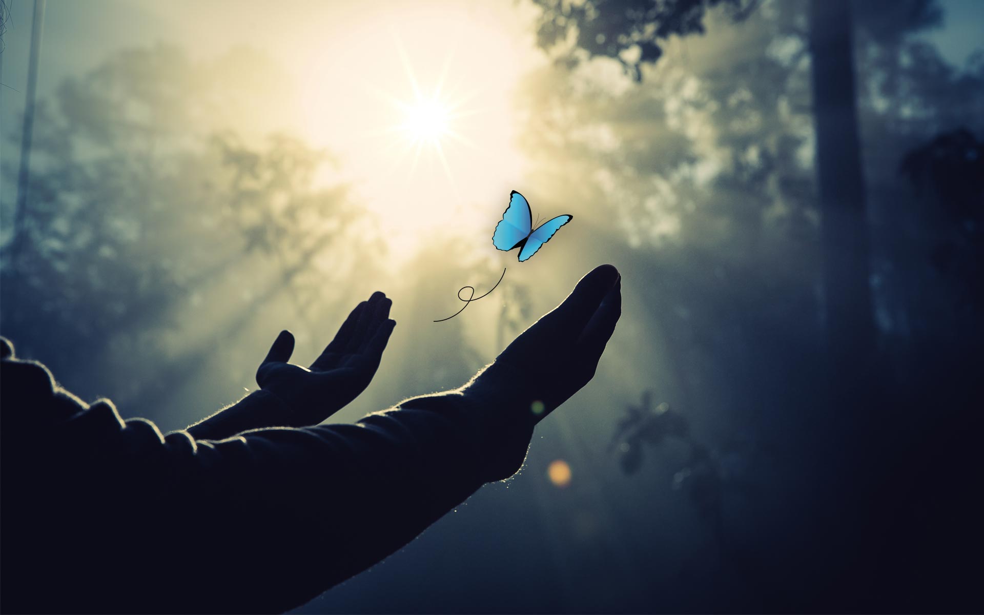 holistisch<br>therapeut