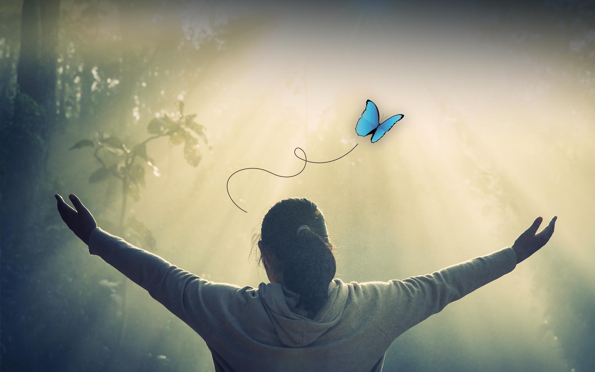 creatieve<br>workshops